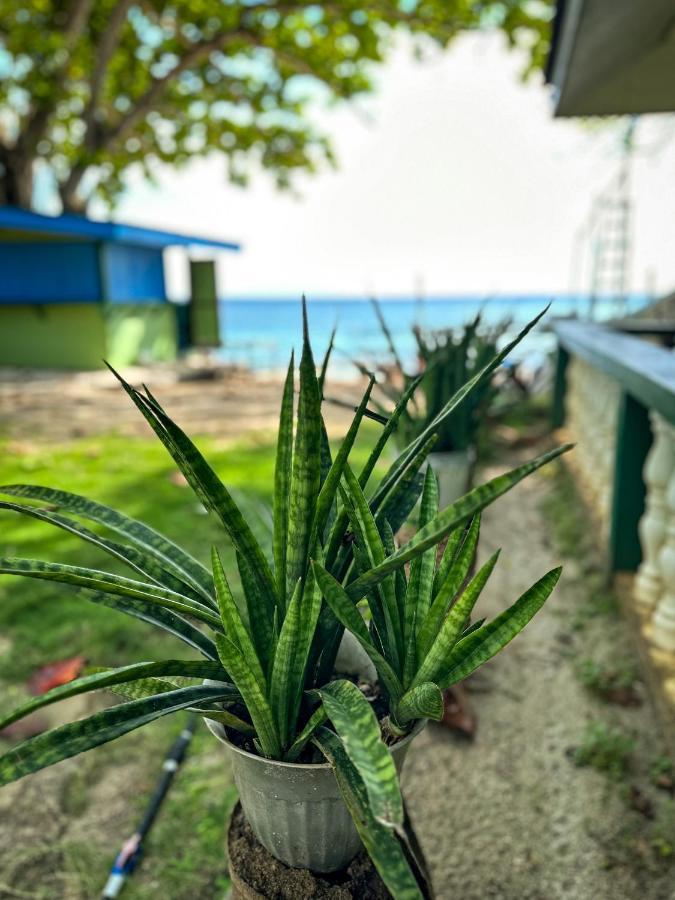 1Peace Beach Resort Анда Екстериор снимка